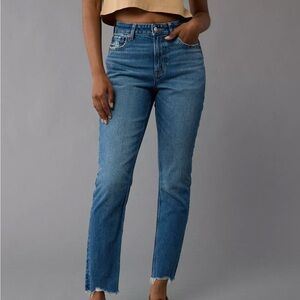 American Eagle Strigid Mom Jean | 6 Regular